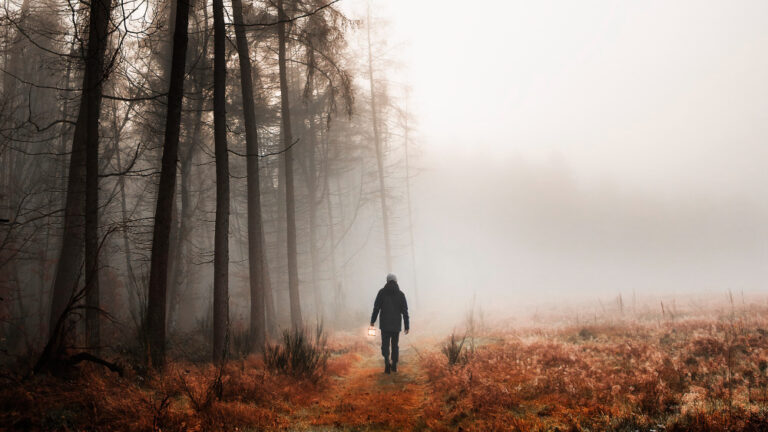 The life after death deception
